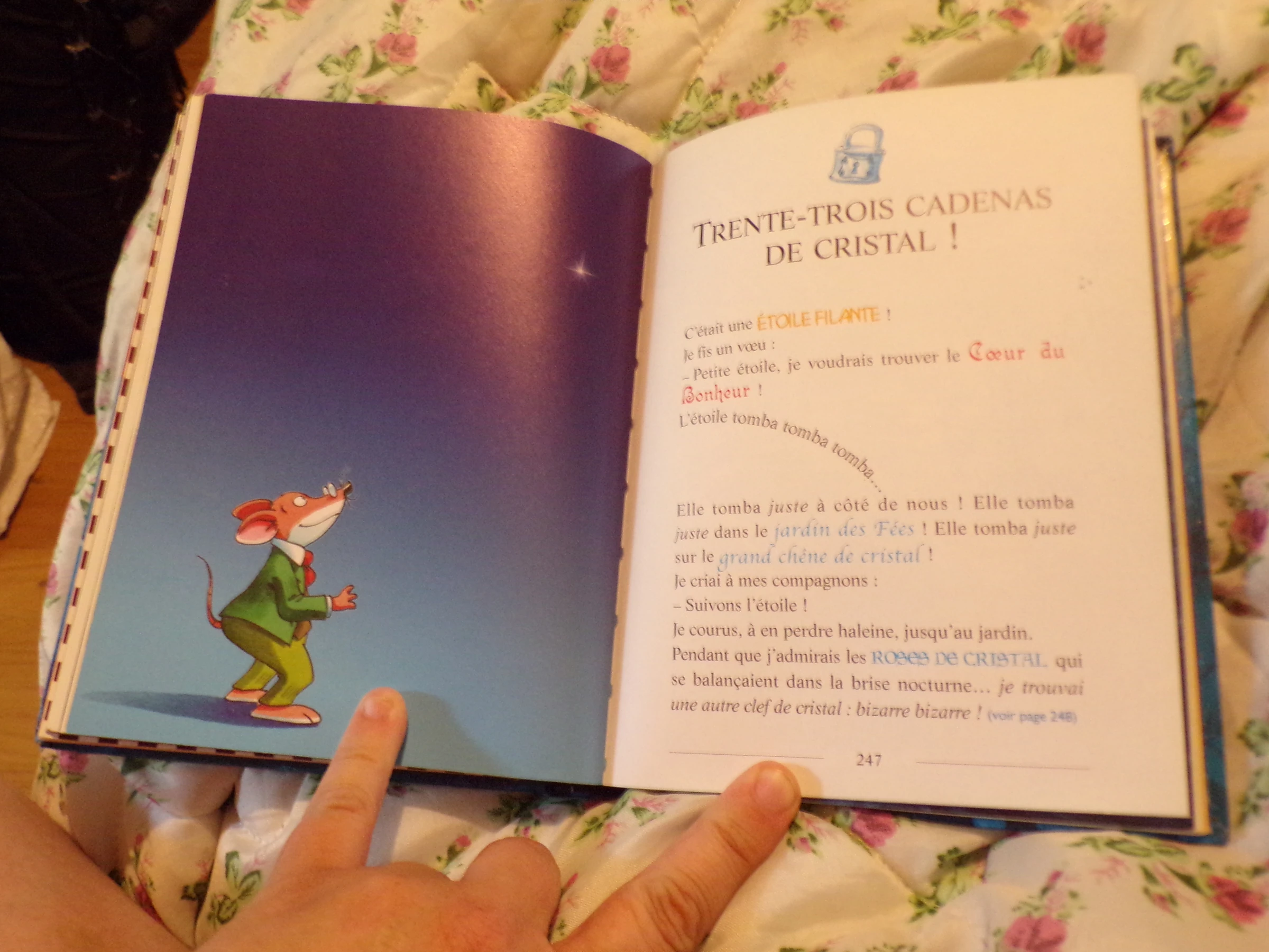 O reino da felicidade – photo 2